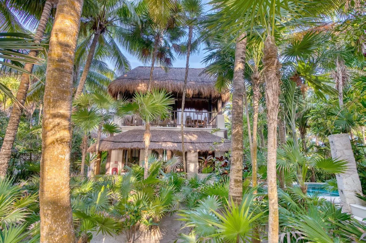 فندق Tulum Luxury Collection المكسيك